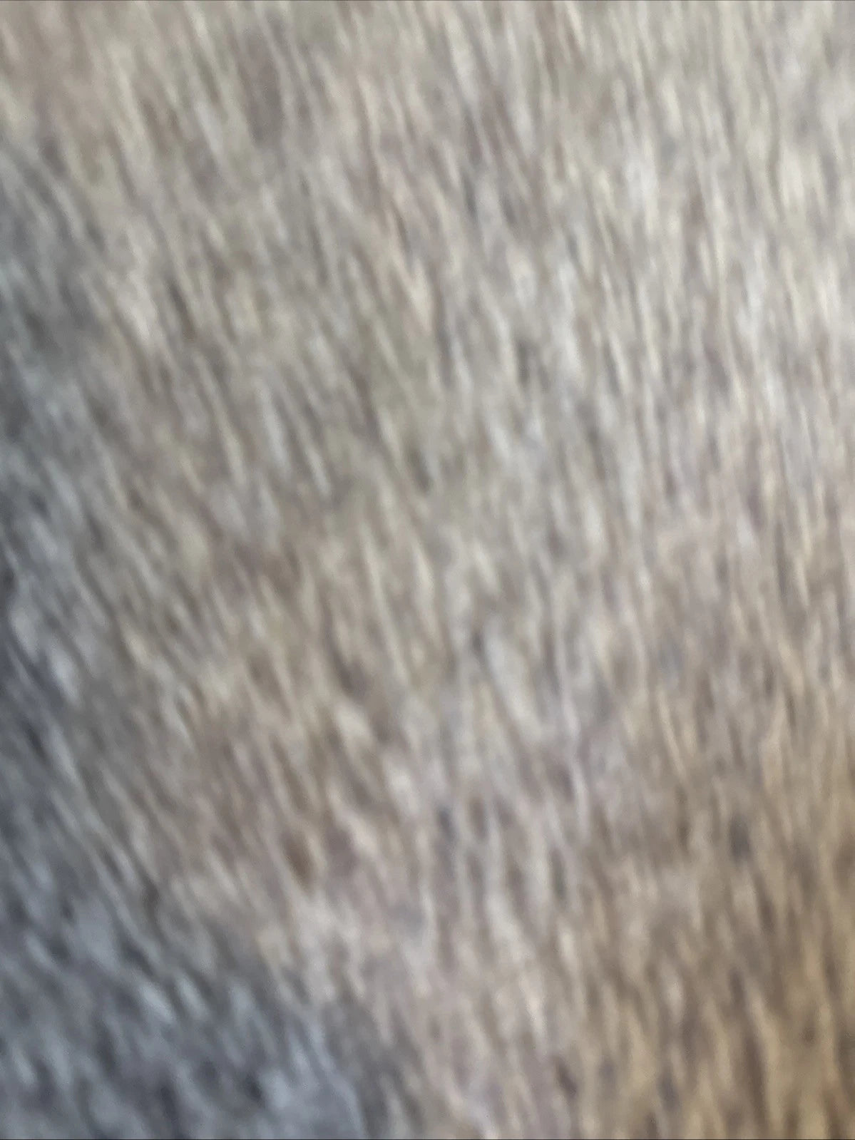 Fashion womans summer  sandals size usa 9