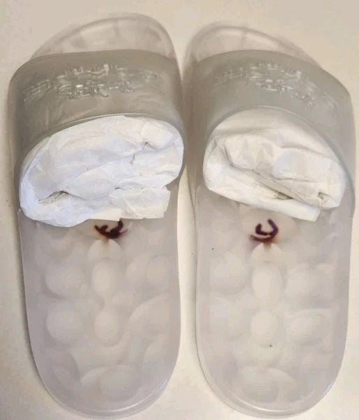 Coach C3068 Ulyssa Women Size 6 Rubber Jelly Slides Sandals Slip On New with Box