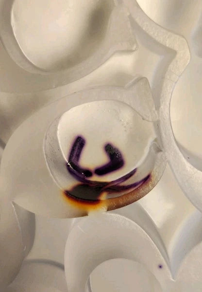 Coach C3068 Ulyssa Women Size 6 Rubber Jelly Slides Sandals Slip On New with Box